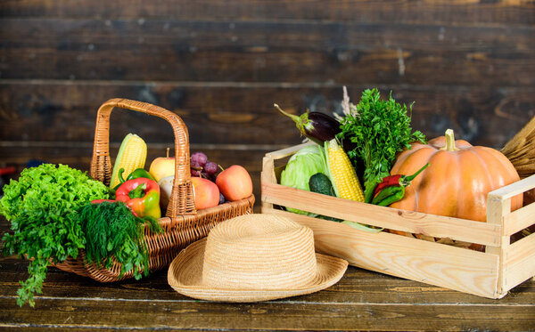 Locally grown natural food. Farmers market. Vibrant and colorful vegetables. Homegrown vegetables. Fresh organic vegetables wicker basket. Fall harvest concept. Autumn harvest crops vegetables