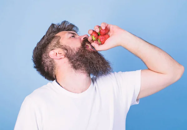 Hipster bearded holds strawberries in fist as juice bottle. Fresh juice concept. Man bearded drinks strawberry juice blue background. Man strict face enjoy extra fresh drink strawberry juice