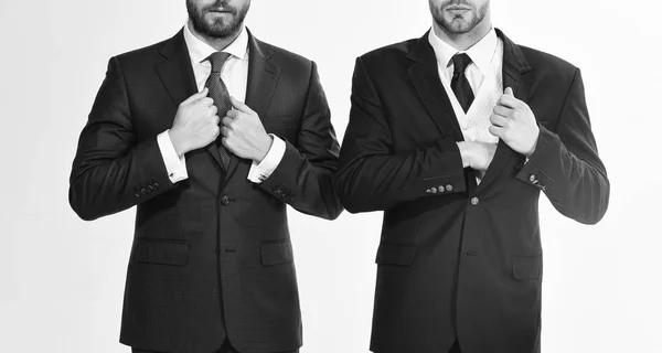 Code vestimentaire de style business. Les mains masculines ajustent leur costume d'affaires de près. Confiant dans son style. Les gens d'affaires choisissent des vêtements formels. Chaque détail compte. Détails élégants aspect commercial — Photo