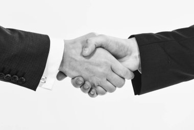 Başarılı bir anlaşma karşılıklı beyaz arka plan. Toplantıda tokalaşırken. Dost karşılıklı jest. Karlı sözleşme imzalama sonra el sıkışma. Karşılıklı jest kavramı. Ortaklık ticari anlaşma
