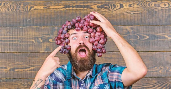 Fresh organic harvest. Grapes from own garden. Farming concept. Man hold grapes wooden background. Farmer bearded guy with homegrown harvest grapes put on head. Farmer proud of grapes harvest