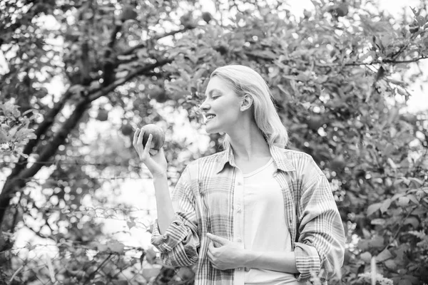 Kadın elma Bahçe arka plan tutun. Çiftlik Organik doğal ürün üretmek. Kız rustik tarzı hasat Bahçe sonbahar günü toplanıyor. Çiftçi iştah kırmızı elma ile güzel sarışın. Yerel bitkileri kavramı — Stok fotoğraf