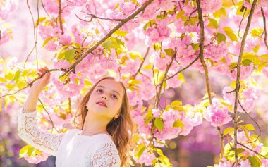 Yüz ayakta sakura çiçekler, defocused yakınındaki gülümseyerek kıza. Uzun saçları açık, kiraz çiçeği arka plan üzerinde olan kız. Tatlı çocukluk kavramı. Şirin çocuk zevk sakura kokusu bahar gününde