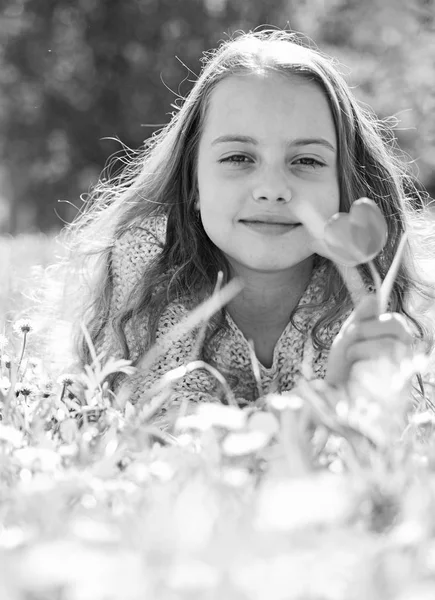 Chica acostada en la hierba, la naturaleza en el fondo, desenfocada. El niño disfruta del día soleado de primavera mientras está acostado en el prado. Chica en la cara sonriente sostiene flor de tulipán rojo, disfrutar del aroma. Concepto de alergia estacional —  Fotos de Stock