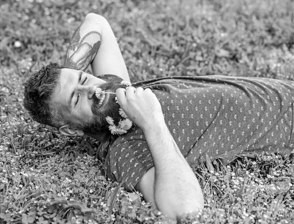 Homem com barba no rosto sorridente desfrutar da primavera. Homem barbudo com flores de dente de leão na barba jazia no prado, fundo de grama. Hipster com buquê de dentes-de-leão em barba relaxante. Conceito de prudência — Fotografia de Stock