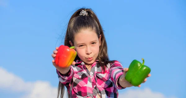 Διάλεξε ποια. Εναλλακτικό σχέδιο απόφασης. Μικρό κορίτσι κρατήσει κόκκινες και πράσινες πιπεριές φόντο ουρανού. Το παιδί έχει ώριμη σοδειά πιπεριού. Παιδί που παρουσιάζει είδη πιπεριού. Φθινοπωρινή συγκομιδή λαχανικά — Φωτογραφία Αρχείου