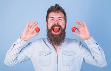 Biz ne yemek vardır. Adam berry tat tadını çıkarın. Berry ağız hipster sakallı. Çilekli tatlı tadı kavramı. Adam yakışıklı hipster uzun sakal yiyecek çilek tutun. Hipster neşeli zevk sulu çilek