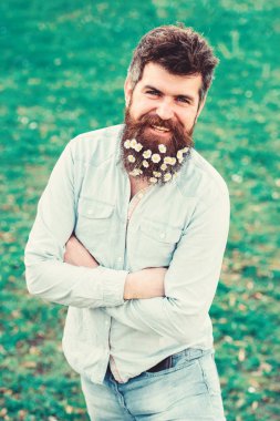 Hipster gülümseyen yüzü üzerinde duruyor, kollar göğüs üzerinde çarpı işareti almıştır. Bahar Tazeliği kavramı. İle adam sakal ve bıyık zevk bahar, yeşil çayır arka plan. Sakal papatya veya papatya çiçekleri ile adam