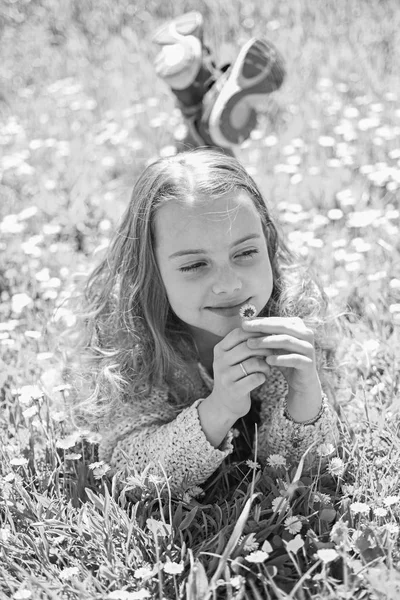 Sensibilitätskonzept. Kinder genießen das sonnige Frühlingswetter auf einer Wiese mit Gänseblümchen-Blumen. Mädchen auf lächelndem Gesicht hält Gänseblümchenblümchen in der Hand, riecht Aroma. Mädchen auf Gras liegend, Grasplot im Hintergrund — Stockfoto