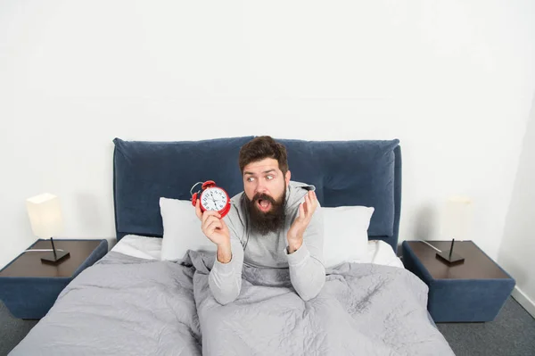 Need more sleep. Tips for waking up early. Man bearded sleepy face bed with alarm clock in bed. What terrible noise. Turn off that ringing. Problem early morning awakening. Get up with alarm clock