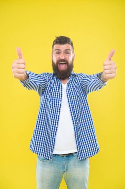 Güzel iş. Sakal moda ve berber kavramı. Adam sakallı hipster şık sakal sarı arka plan. Berber uçları sakalını korur. Şık sakal ve bıyık bakımı. Hipster görünümü. Duygusal ifade
