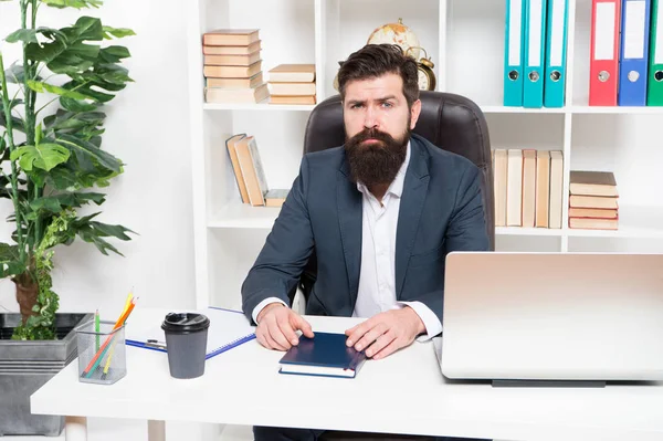 Ofis rutini. İş çözümlerinden sorumlu işadamı. İş stratejisi geliştirmek. Riskli bir iş. Adam sakallı hipster patron dizüstü bilgisayar ile ofis oturup. Yönetici iş sorunlarını çözme — Stok fotoğraf