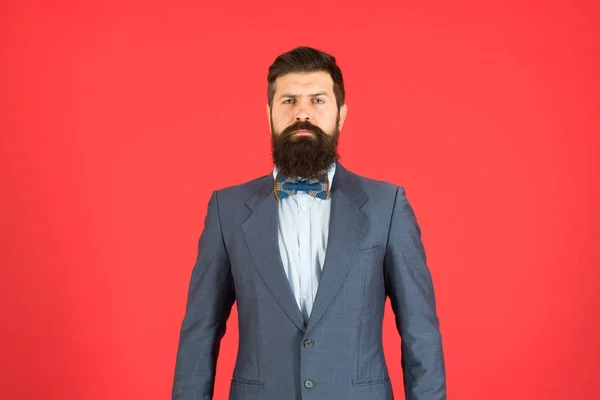 Concept de mode. Homme d'affaires ou hôte tenue à la mode fond rouge. Tenue officielle. Posture confiante. Homme barbu hipster porter costume classique tenue. Prends bien soin de ton costume. Élégance et style masculin — Photo