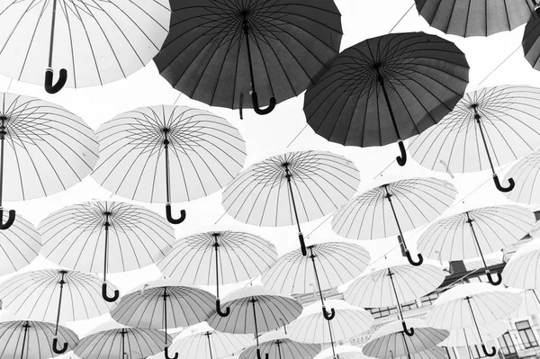 Olika färger paraplyer bakgrund — Stockfoto