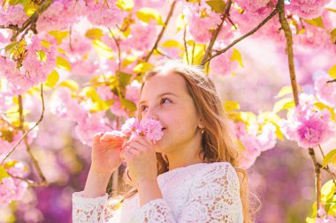Şirin çocuk bahar gününde sakura kokusu tadını çıkarın. Yüz ayakta sakura çiçekler, defocused yakınındaki gülümseyerek kıza. Tatlı çocukluk kavramı. Arka plan üzerinde uzun saçları açık, kiraz çiçeği ile kız
