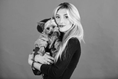 Hangi köpek ırkları ceket giymelisin. Kız küçük köpek kat sarıl. Kadın taşımak yorkshire korkunç. Soğuk hava için soyunma köpek. Yapmak emin köpek giysilerle rahat hissediyorum. Giyim ve aksesuarları