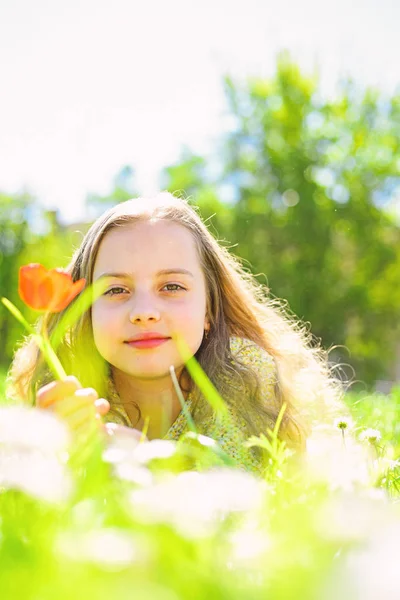 背景には、デフォーカスの自然草の上に横たわる少女。子供は、草原に横たわっている間春の晴れた日を楽しみます。季節性アレルギーの概念。笑顔の女の子が赤いチューリップの花を保持して、軽をお楽しみください。 — ストック写真