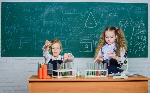 실험실을 위한 학교 장비. 여학생들은 학교 화학 수업을 듣습니다. 아이들은 실험하느라 바쁩니다. 학교 교육. 학교 실험실 파트너. 화학 분석. 다채 로운 물질이 들어 있는 시험관 — 스톡 사진