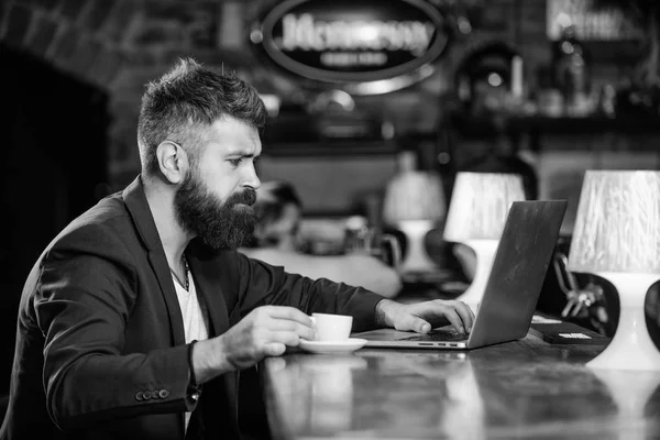 Mannen med skjegget forretningsmann sitter på puben med laptop og kaffe. Direktøren jobber online mens han nyter kaffe. På nettet. Hipster frilanser jobber med blogg notatbok. Surfet på internett. Frilanser – stockfoto