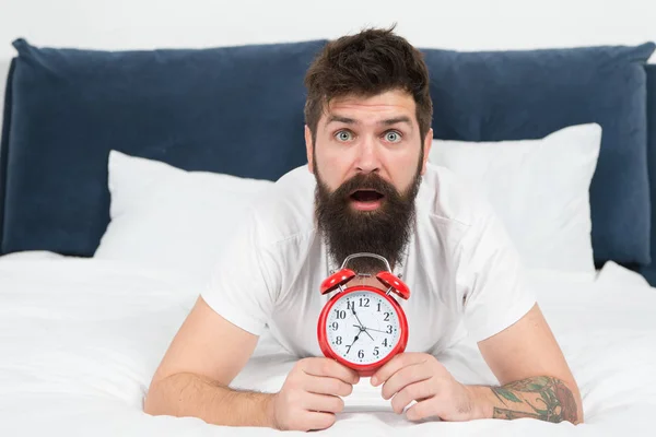 Waking up early gives more time to prepare and be timely. Hipster bearded man lay in bed with alarm clock. Time to wake up. Why you should wake up early every morning. Health benefits of rising early