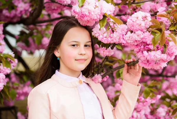 桜の背景のピンクの花の子供。桜や桜を楽しむ女の子。かわいい子供は春の日に自然を楽しみます。アロマブロッサムコンセプト。桜の近くでポーズをとる女の子観光客。柔らかい花 — ストック写真