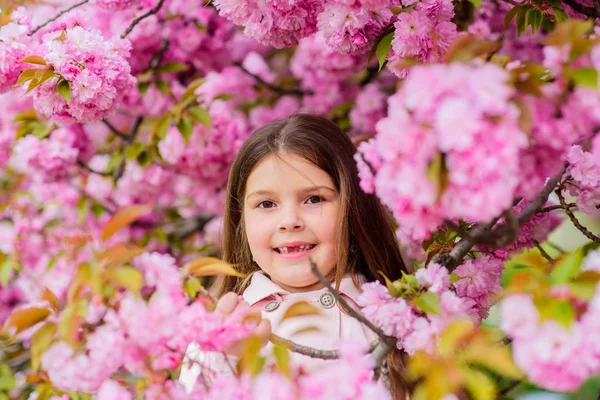 Allergi botemedel. Barn njuter av livet utan allergi. Sniffande blommor. Bli av med säsongsbunden allergi. Flicka njuter av blommig doft. Pollen allergi koncept. Grabben på rosa blommor sakura träd bakgrund — Stockfoto