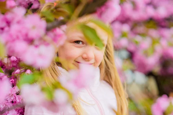 アレルギー治療。花粉アレルギーの概念。季節性アレルギーを取り除きます。花の香りを楽しむ女の子。ピンクの花桜の背景に子供。子供はアレルギーのない生活を楽しみます。スニッフィング花 — ストック写真