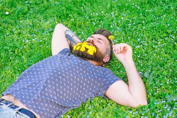 Homem com barba no rosto calmo desfrutar da natureza. Homem barbudo com flores de dente de leão estava no prado, fundo de grama. Unir-se com o conceito de natureza. Hipster com buquê de dentes-de-leão em barba relaxante — Fotografia de Stock