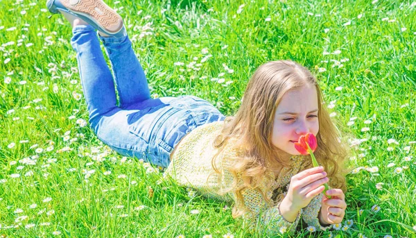 El niño disfruta de la fragancia de tulipán mientras está acostado en el prado. Concepto de alergia. Chica con el pelo largo acostado en la parcela de hierba, fondo de hierba. Chica en la cara sonriente sostiene flor de tulipán rojo en el soleado día de primavera —  Fotos de Stock