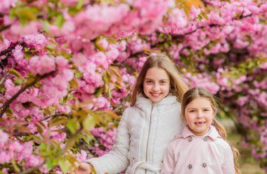 Sakura ağacı arka plan pembe çiçekler üzerinde Çocuklar. Çocuklar kiraz çiçeği sakura zevk. Botanik kavramı. Çiçekler yumuşak pembe bulutlar. Çocuklar ılık baharın tadını çıkarırlar. Çiçekte kaybolmuş. Sakura yakınında poz veren kızlar