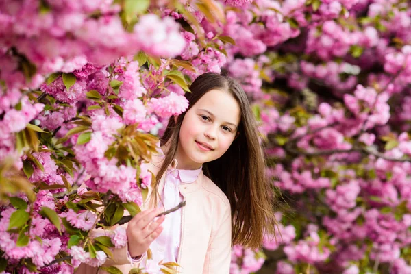 Lány idegenforgalmi jelentő közelében Sakura. Pályázat virágzik. Gyermek rózsaszín virágai Sakura fa háttér. Lány élvezi cseresznyevirág vagy Sakura. Aranyos gyerek élvez meleg tavaszi napon. Aromás virág koncepció — Stock Fotó