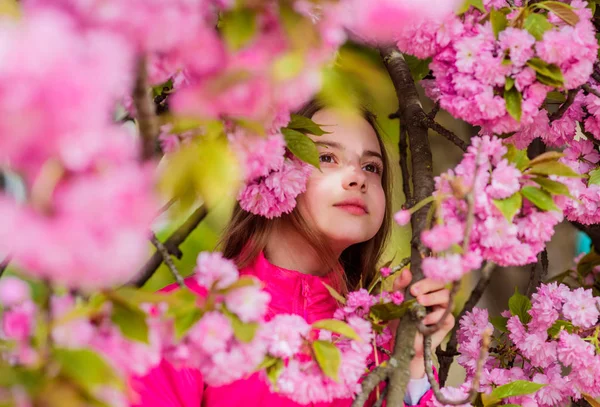 Concept d'allergie au pollen. Les enfants apprécient le sakura aux fleurs de cerisier. Enfant sur fond de sakura fleurs roses. Enfant profiter de la vie sans allergie. Remède contre les allergies. Je renifle des fleurs. Fille appréciant arôme floral — Photo