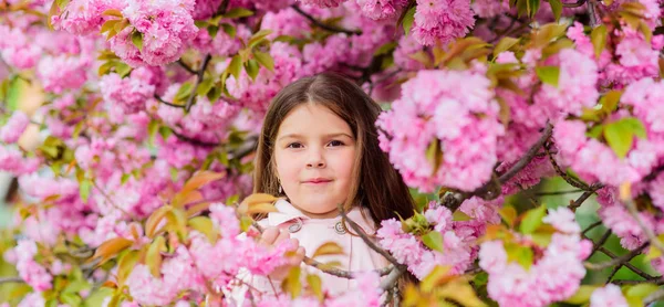 Çocuk alerjisi olmadan yaşamın tadını çıkarın. Çiçekleri koklamak. Mevsimsel alerjiden kurtulun. Kız çiçek aroması zevk. Polen alerjisi kavramı. Pembe çiçekler üzerinde çocuk Sakura ağacı arka plan. Alerji çare — Stok fotoğraf