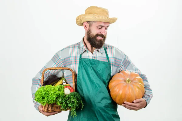 Alimentos cultivados localmente. Granja local. Ocupación profesional de estilo de vida campesino. Agricultura y agricultura. Granjero usar delantal mantenga calabaza fondo blanco. Concepto agrícola. granjero chico llevar grande calabaza —  Fotos de Stock