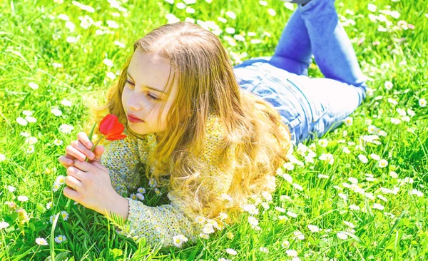 Концепція весняної перерви. Дитина насолоджується весняним сонячним днем, лежачи на лузі з ромашковими квітами. Дівчина лежить на траві, трава на фоні. Дівчина на спокійному обличчі тримає червону квітку тюльпанів, аромату снайперів — стокове фото