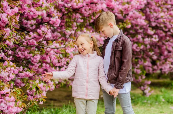 Tender love feelings. Little girl and boy. Romantic date in park. Spring time to fall in love. Kids in love pink cherry blossom. Love is in the air. Couple adorable lovely kids walk sakura garden — Stock Photo, Image