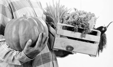 Teslimat servisi taze sebze grubu arasında. Taze ev yapımı sebze satın. Sadece bahçeden. Çiftçi hasat sebze kutusu veya sepet taşımak. Mükemmel kalite sebze. Bakkal dükkanı kavramı