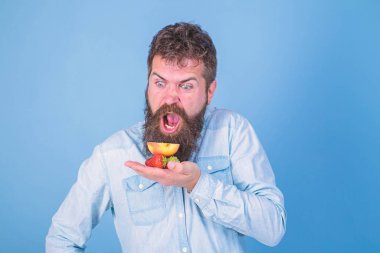 Hepsi benim için. Sakallı aç surat diye bağıran adam organik ikramlar yiyor. Hipster sakallı palmiye çilek ve elma tutar. Adam aç çilek yiyor ve elma meyve mavi arka plan davranır