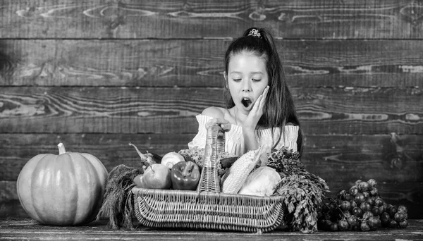 Harvest festival koncept. Dívka dítě rustikálním stylu farmářský trh s podzim sklizeň. Veselé dítě oslavit sklizeň dovolená dýně Zelenina koše. Kid farmář s sklizeň dřevěné pozadí — Stock fotografie