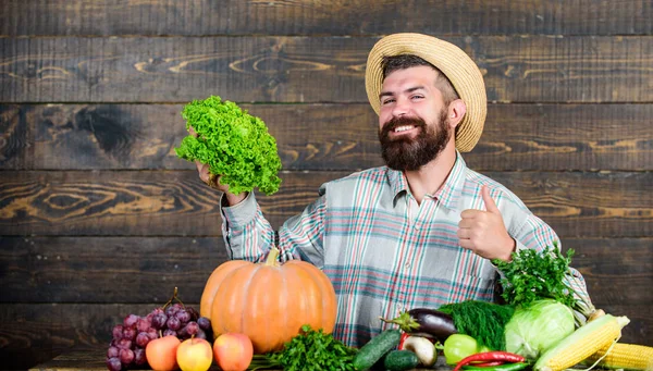 Man bearded farmer with vegetables rustic style background. Sell vegetables. Local market. Locally grown crops concept. Homegrown vegetables. Buy vegetables local farm. Farm market harvest festival