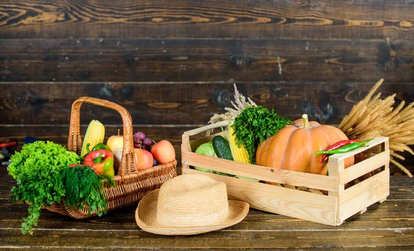 Ótima comida para um estilo de vida saudável. produto saudável. festival de colheita. cesta com frutas e legumes. colheita de outono rico. vitamina sazonal. alimentos orgânicos naturais. Dia das Bruxas. compras em supermercado — Fotografia de Stock