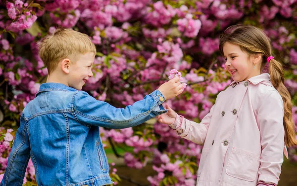 A darle tutti i fiori. Sorprendente. Ai bambini piacciono i fiori di ciliegio rosa. Bambini romantici. Coppia bambini su fiori di sfondo albero di sakura. Dolci sentimenti d'amore. Bambina godere di fiori primaverili — Foto Stock