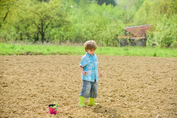 Work at farm. Mother nature concept. Planting seedlings. Child having fun with little shovel and plant in pot. Planting in field. Little helper in garden. Boy planting flower in field digging ground