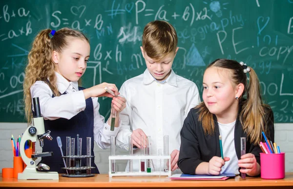 Maddelerle test tüpleri. Örgün eğitim. Kızlar ve erkek öğrenciler sıvılarla okul deneyi yapar. Okul laboratuarı. Grup okulu öğrencileri kimyasal sıvılar üzerinde çalışıyor. Okul kimyası dersi