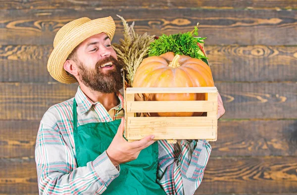 Ο άνθρωπος χαρούμενος γενειοφόρος αγρότης φορούν ποδιά παρουσιάζοντας λαχανικά κολοκύθας ξύλινο υπόβαθρο. Αγρότης ψάθινο καπέλο παραδώσει νωπά λαχανικά. Υπηρεσία παράδοσης φρέσκα λαχανικά. Κουτί φρέσκα βιολογικά λαχανικά — Φωτογραφία Αρχείου