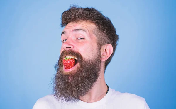 Hipster happy face enjoy juicy ripe red strawberry. Strawberry sweet taste concept. Man handsome hipster with long beard eating strawberry. Berry in mouth of bearded hipster. Freshness comes in red