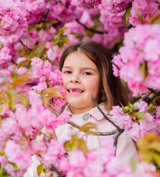 Dziewczyna ciesząc się kwiatowym aromatem. Dziecko na różowe kwiaty Sakura drzewo tło. Dziecko cieszyć się życiem bez alergii. Wąchania kwiatów. Lekarstwo na alergie. Koncepcja alergii pyłku. Pozbyć się alergii sezonowej — Zdjęcie stockowe
