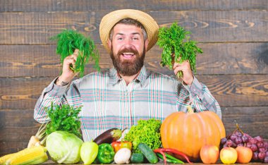 Çiftçi homegrown sebze hasat ile. Organik böcek kontrolü. Mükemmel kalitede hasat. Onun hasat ahşap arka plan gurur sakallı adam. Organik gübre hasat yapmak sağlıklı ve zengin