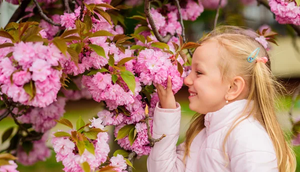 Get rid of seasonal allergy. Child enjoy life without allergy. Sniffing flowers. Girl enjoying floral aroma. Pollen allergy concept. Kid on pink flowers sakura tree background. Allergy remedy — Stock Photo, Image