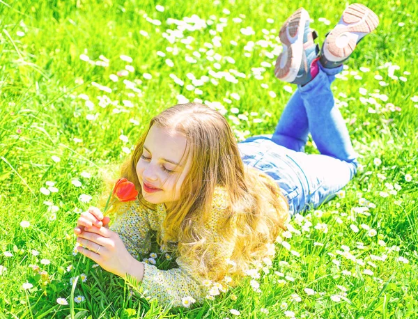 Spring break concept. Child enjoy spring sunny day while lying at meadow with daisy flowers. Girl on smiling face holds red tulip flower, sniffs aroma. Girl lying on grass, grassplot on background